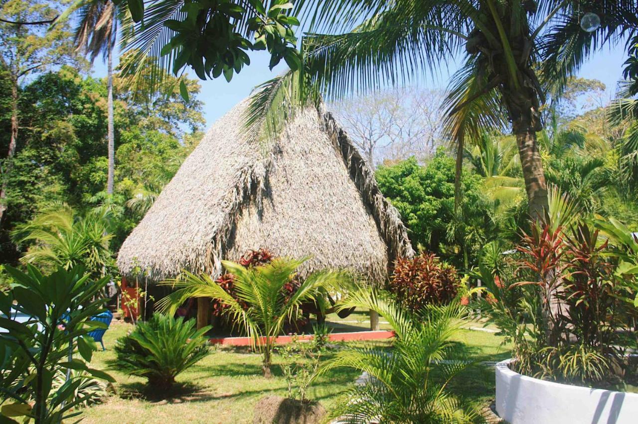 ホテルEl Ranchito Surfcamp Pedregal エクステリア 写真
